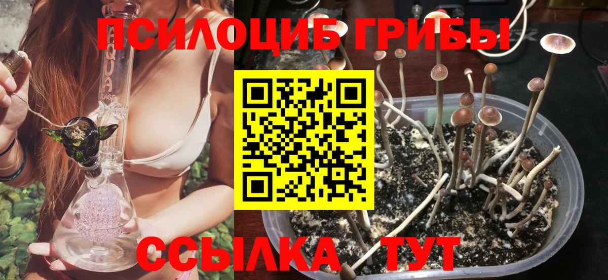 Псилоцибиновые грибы Cubensis  Вход с VPN  Стерлитамак  Псилоцибиновые грибы MAGIC MUSHROOMS 